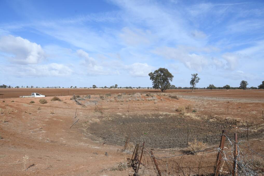 RESILLIENT IN HARDSHIP: Dubbo has been classified as in drought, while Coonabarabran is under intense drought. Photo: BELINDA SOOLE