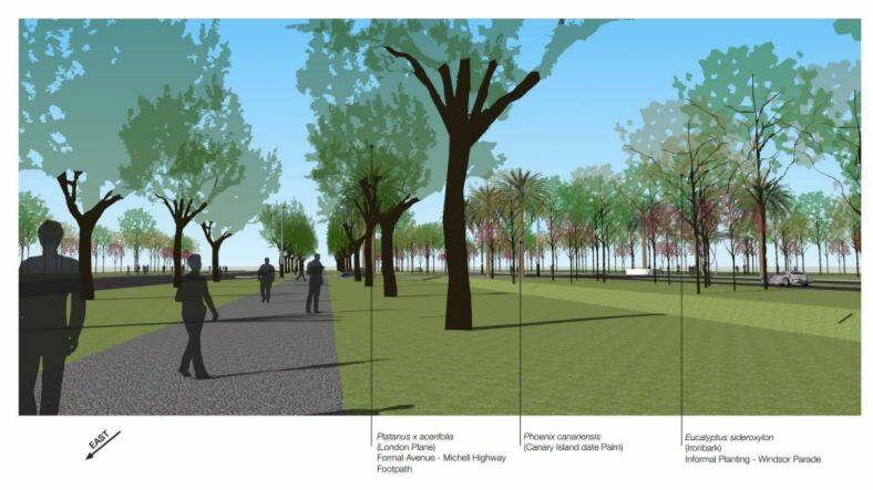 This is what the park is proposed to look like.