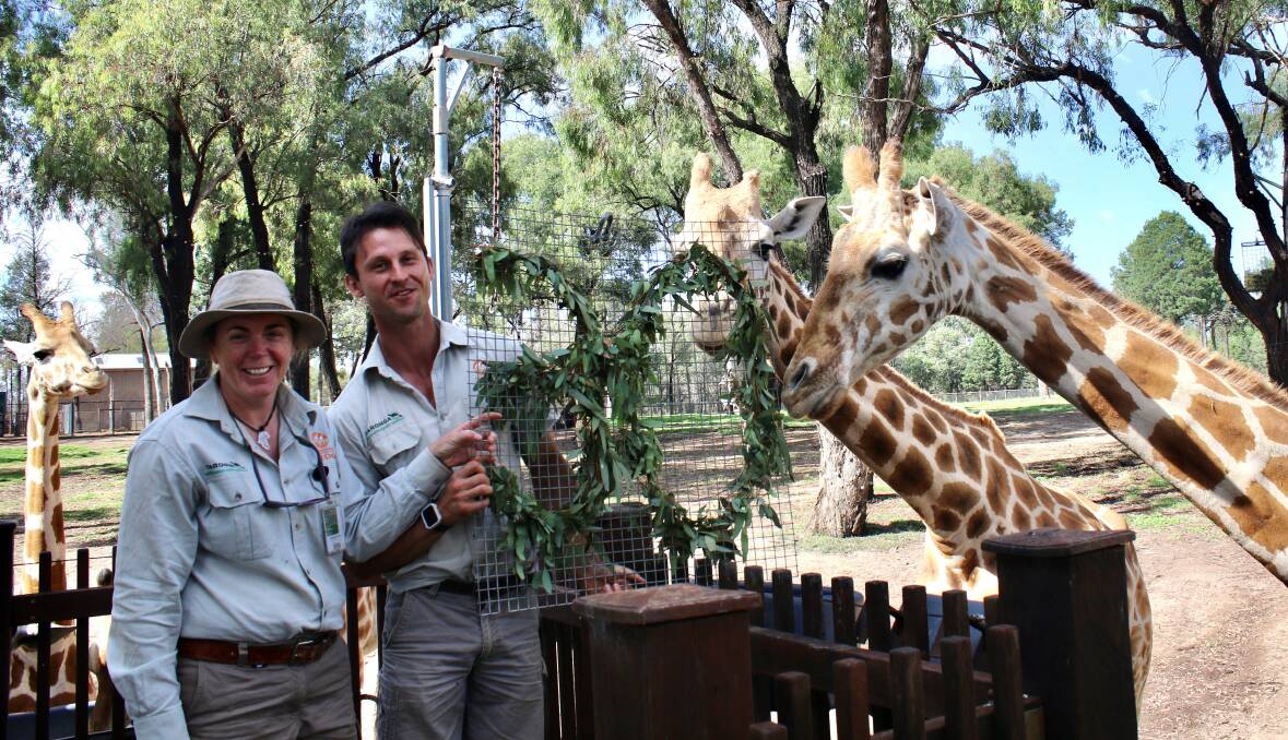 Keepers Bobby-Jo Vial and Maz Boz with Mutangi and her 30th birthday enrichment.