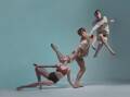 Sydney Dance Company will wow in its latest piece. Picture: Pedro Greig