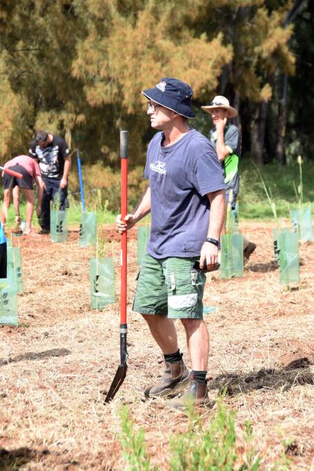 GREEN: There will be 1100 native trees planted. while 60 exotic diseased trees will be removed. Photo: FILE