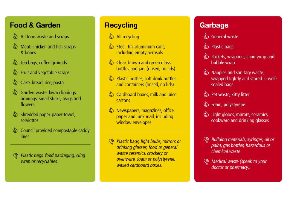 New bin collection: your questions answered