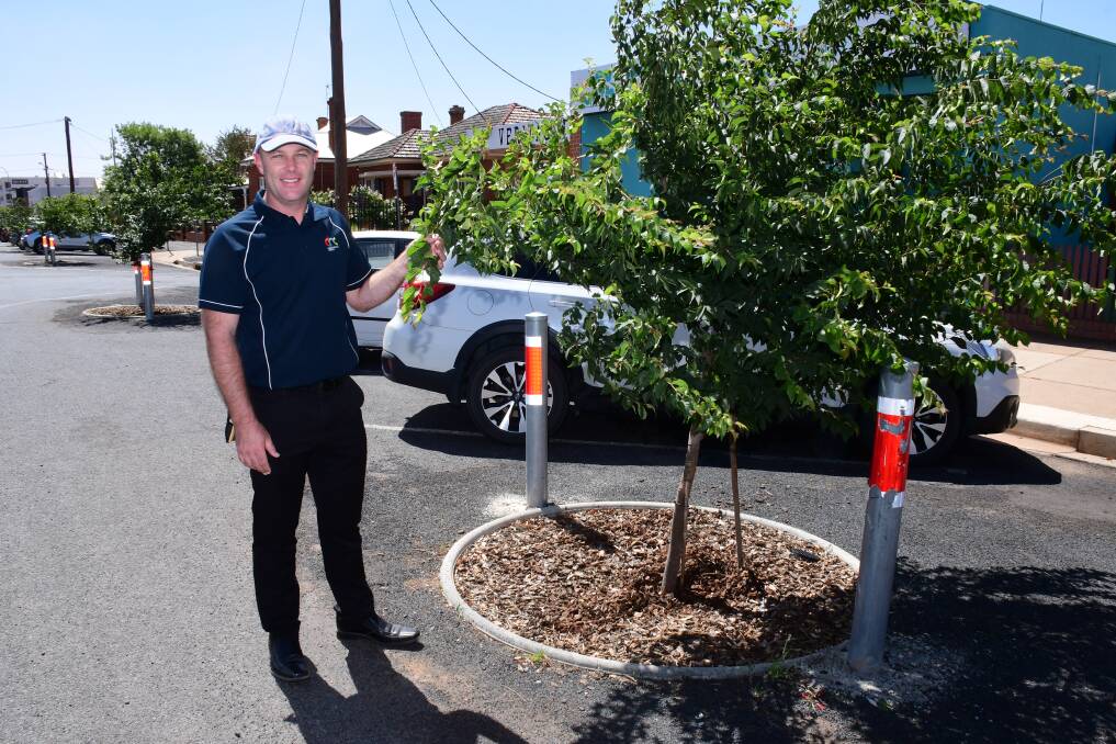 NEW TREES: Last year, Dubbo Regional Council planted seven new trees in Bultje Street. Another 15 will be added to increase the amount of shade. Photo: BELINDA SOOLE