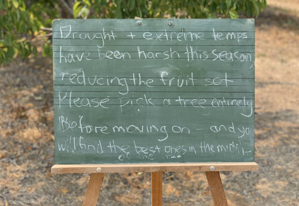 A sign at Roth Orchard instructing visitors to be mindful of how they pick.