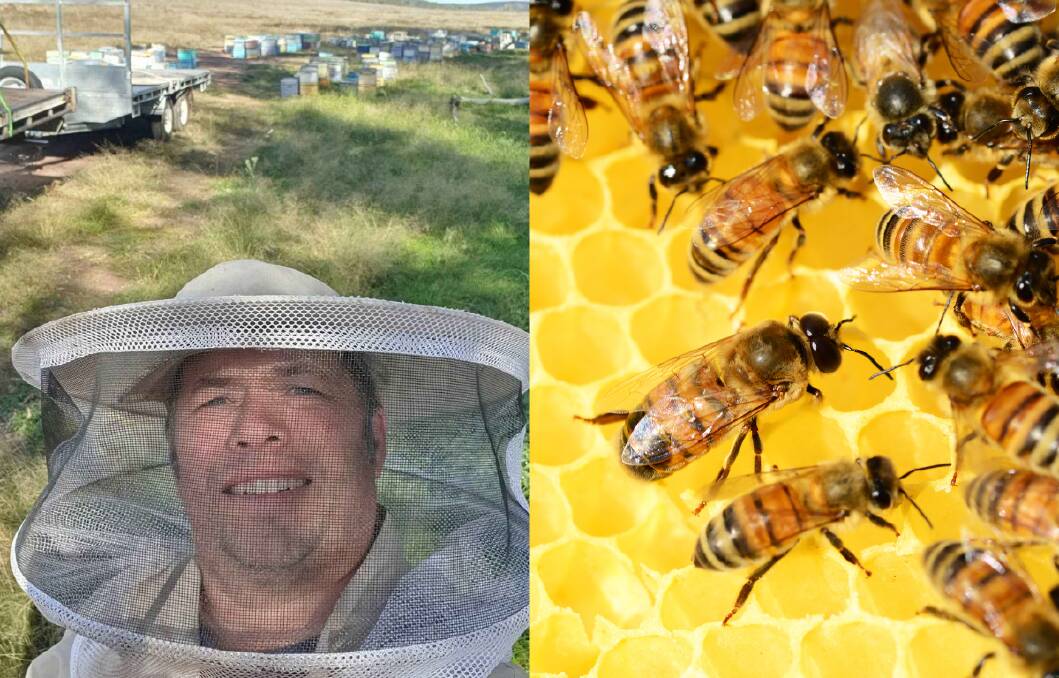 Wellington beekeeper and honey seller, Andrew Gay. Picture: Supplied