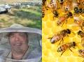 Wellington beekeeper and honey seller, Andrew Gay. Picture: Supplied