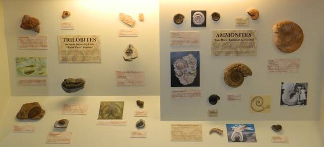 An example of the kind of display that would have been in the museum space. Supplied