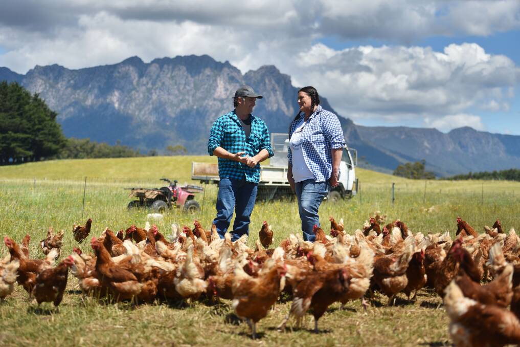DEMAND: Mt Roland Free Range Eggs' Angela and Phil Glover have seen a massive rise in chicken sales during the COVID-19 crisis. Photo: Scott Gelston