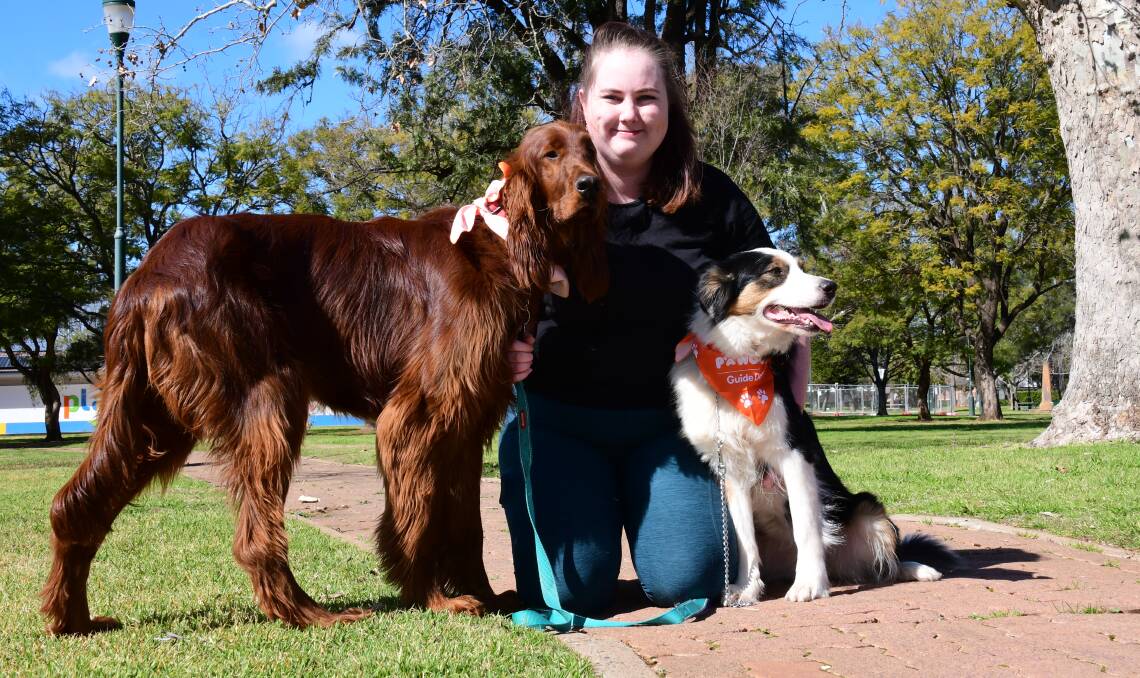 Irish setter Remi and border collie Marnie, sporting Pawgust merchandise, with their adoring owner Niamh Hutchinson. Photo: AMY MCINTYRE