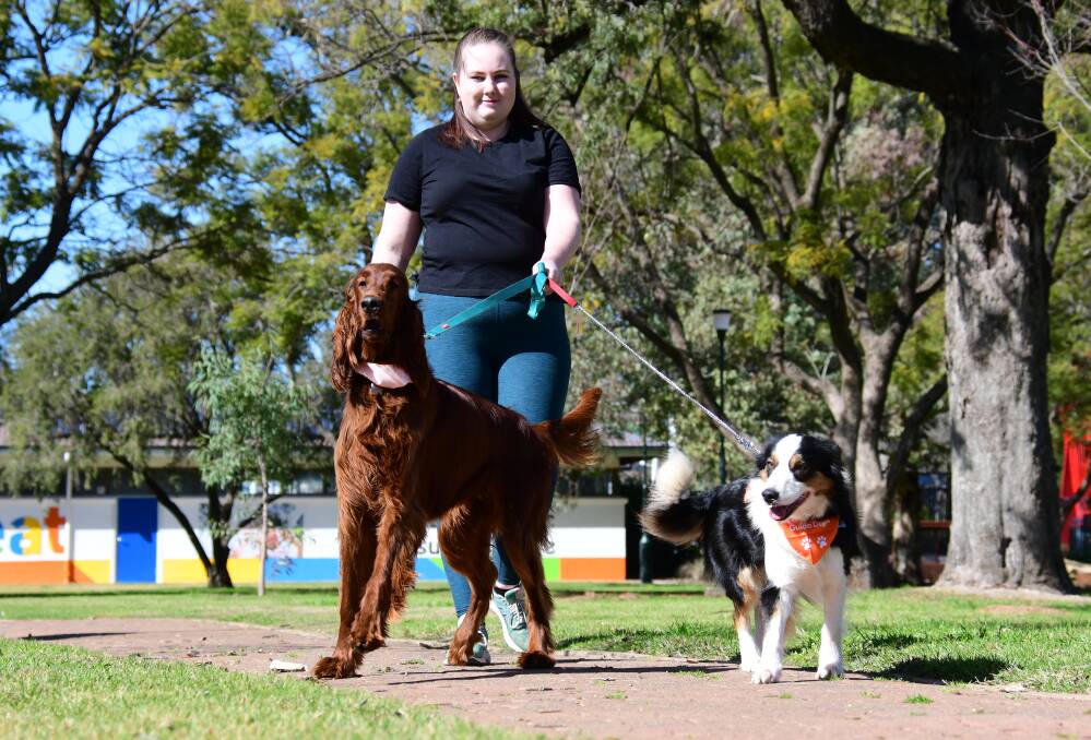 Walkies: 2021 Dubbo Showgirl Niamh Hutchinson takes Remi (left) and Marnie (right) walking for Pawgust. Photo: AMY MCINTYRE