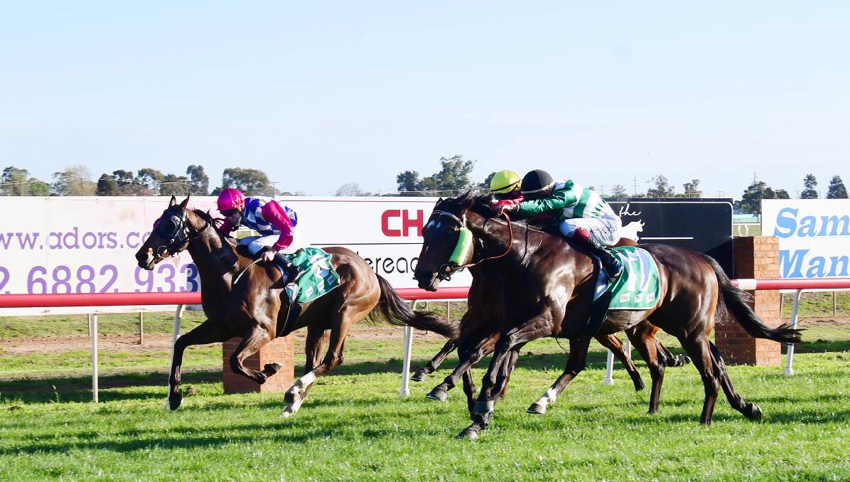 SUCCESS: Aesop's Fable (outside) won the 2021 Dubbo Gold Cup last September. Picture: Amy McIntyre