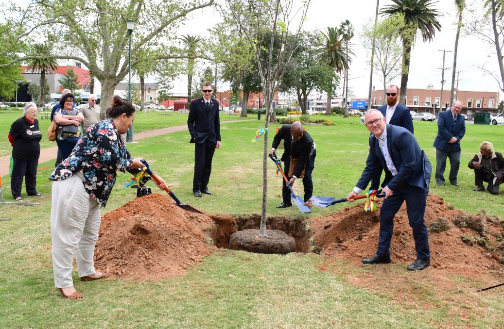 A Japanese Elm was planted in Victoria Park to mark the occasion. Photo: AMY McINTYRE
