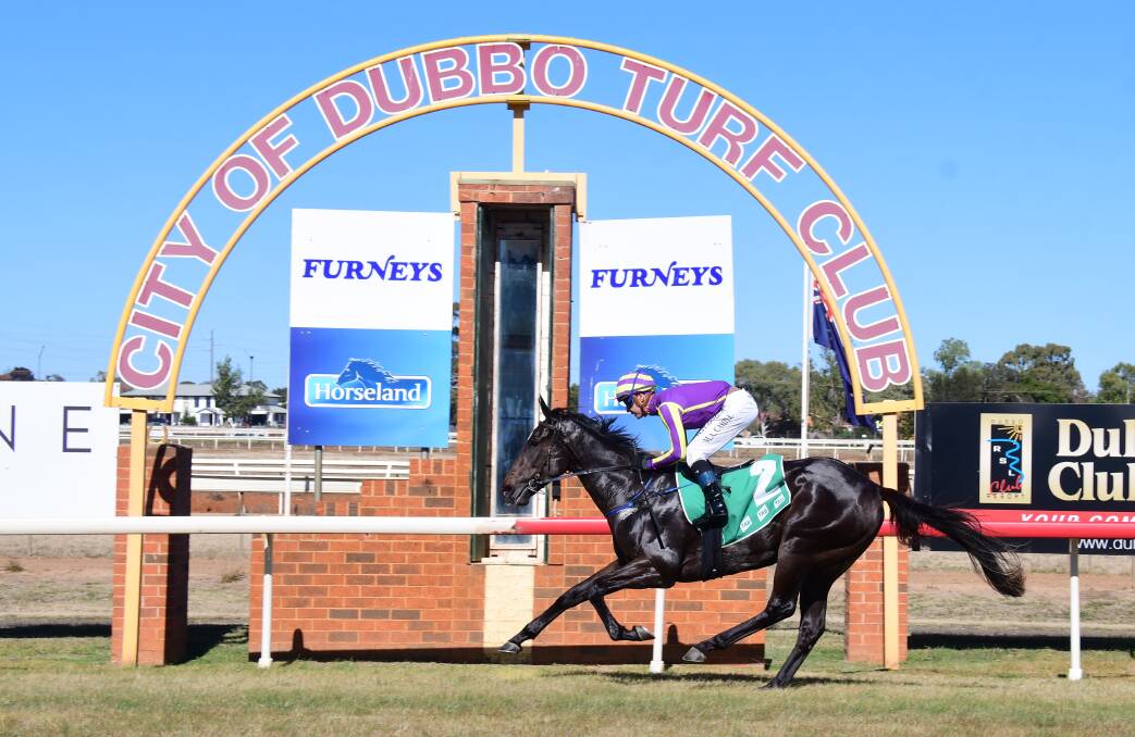 FAR TOO GOOD: Mathew Cahill and Kiss Sum cruise past the post at Dubbo Turf Club on Saturday. Photo: AMY McINTYRE