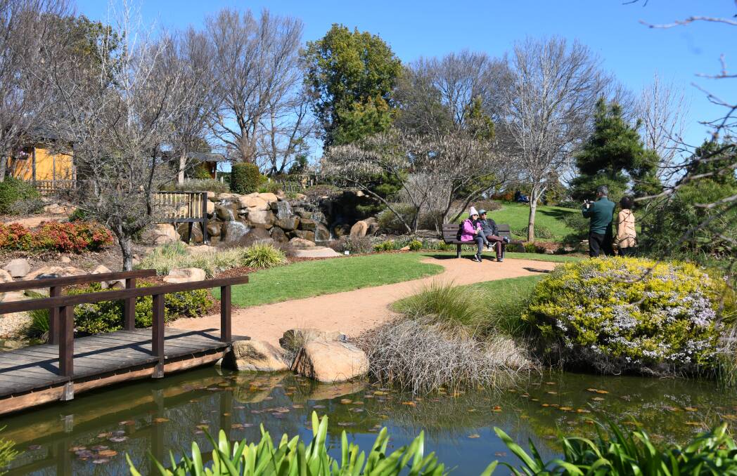 It has been 20 years since the first sod turned on the Shoyoen Japanese Gardens, turning the previously bare site into a botanical oasis. Picture: Amy McIntyre