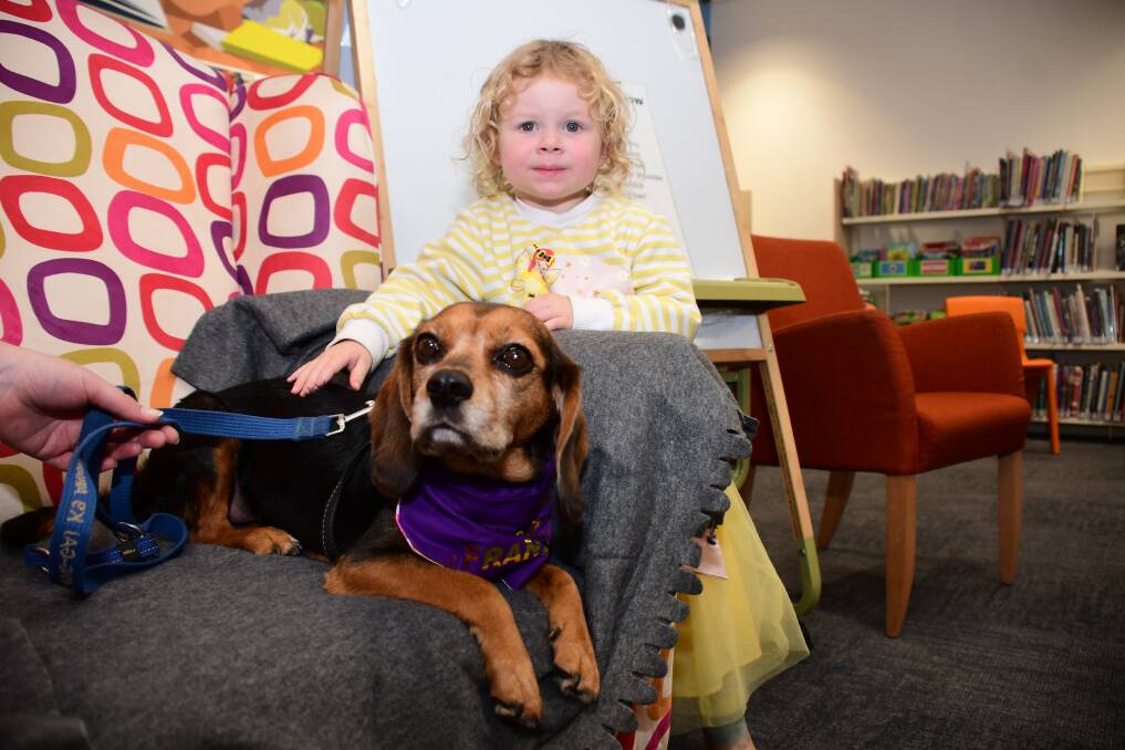 CUDDLE TIME: Learners on Leads therapy dog Franklin with Evelyn Howlett. Photo: AMY McINTYRE. 