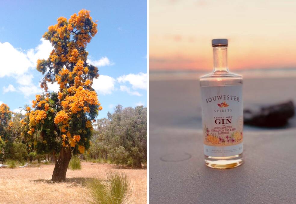Left: Nuytsia floribunda, or Moodjar, also known as 'tree of souls' in Noongar culture. Photo: Frank Bear; Right: The SouWester Spirits 'Sunset Gin' is one of the gins that contains the controversial ingredient. Photo: SouWester Spirits