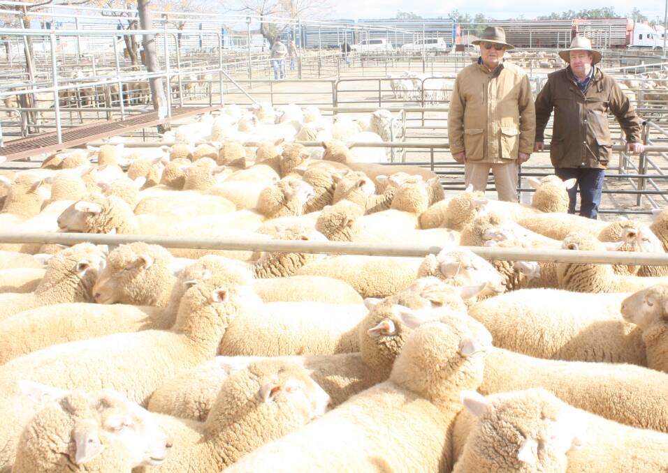 RECORD: Ray Inder, RJ and A Inder, Merriwa, with Phillip Morris, Peter Milling and Company, Wellington, and the line of 83 crossbred lambs which sold for $349 a head a Dubbo on Monday. 