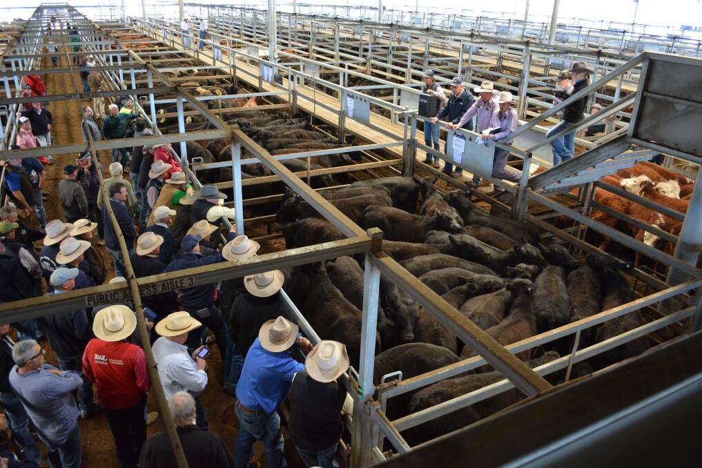No longer a social event, management at major saleyards across NSW have reminded visitors they should only be at a sale if they need to be there. 