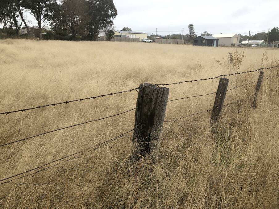 FIRE SAFETY: High grassland fuel loads are a concern for firefighters in the Orana and Cudgegong regions. This photo shows high grass levels in the Northern Tablelands. Photo: JASON JARRETT