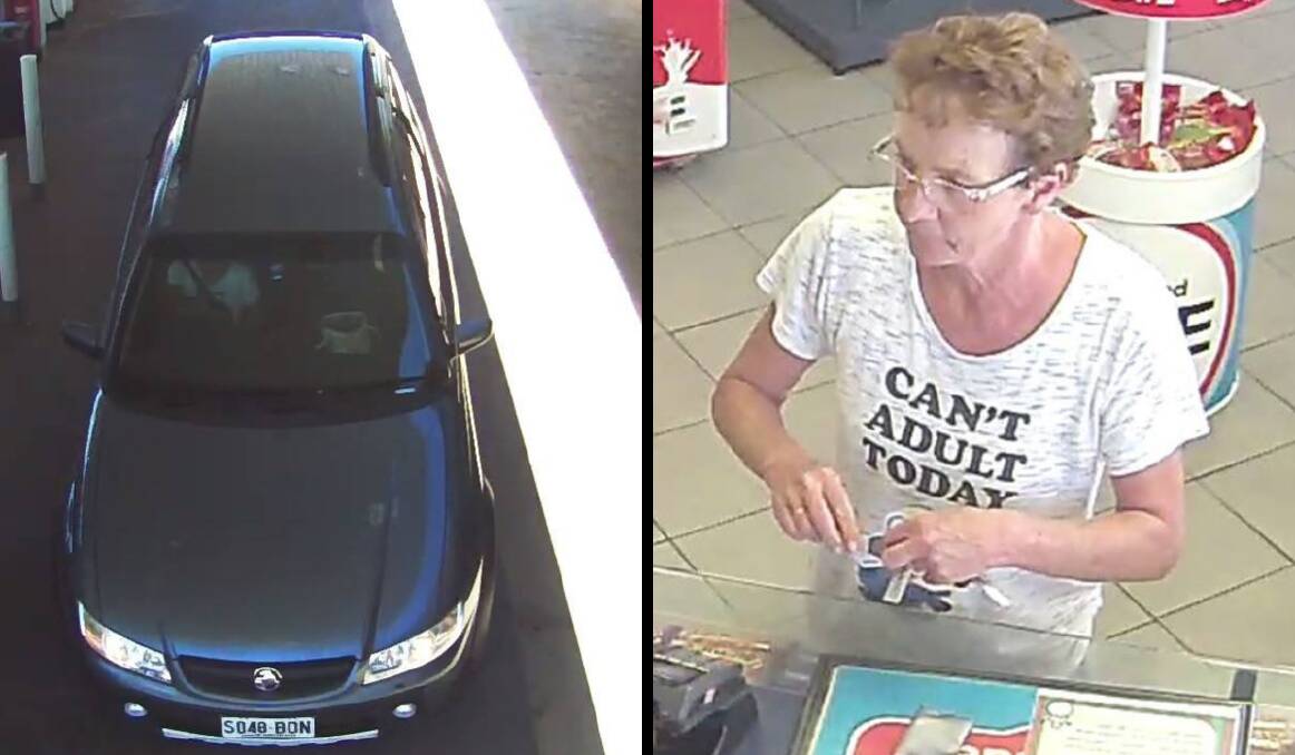 HELP NEEDED: Police are calling for dashcam and CCTV footage of missing woman Marilyn Anne Grubb to help with their investigation. Photos: NSW POLICE