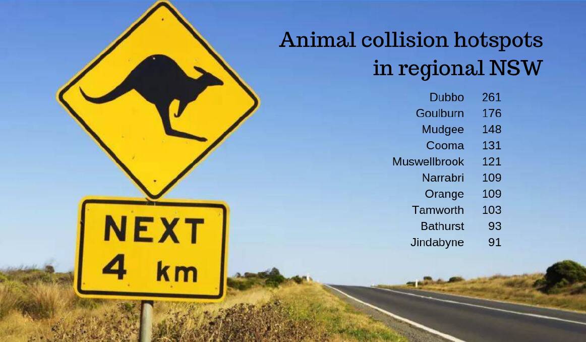 What's that Skip? Roo collisions add to hotspot crash tally
