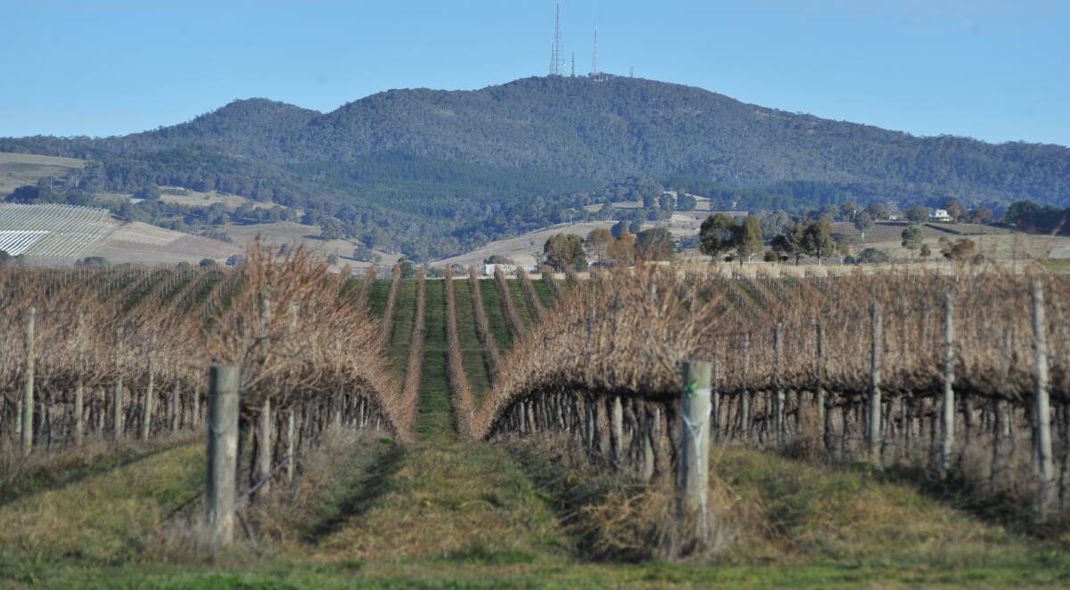 TOP DROPS: Philip Shaw Wines is one of the many wineries attracting visitors to Orange. Photo: FILE