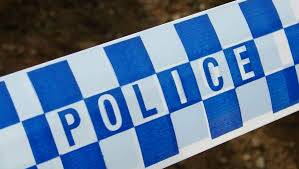 Man dies after being hit by tree on NSW's South Coast