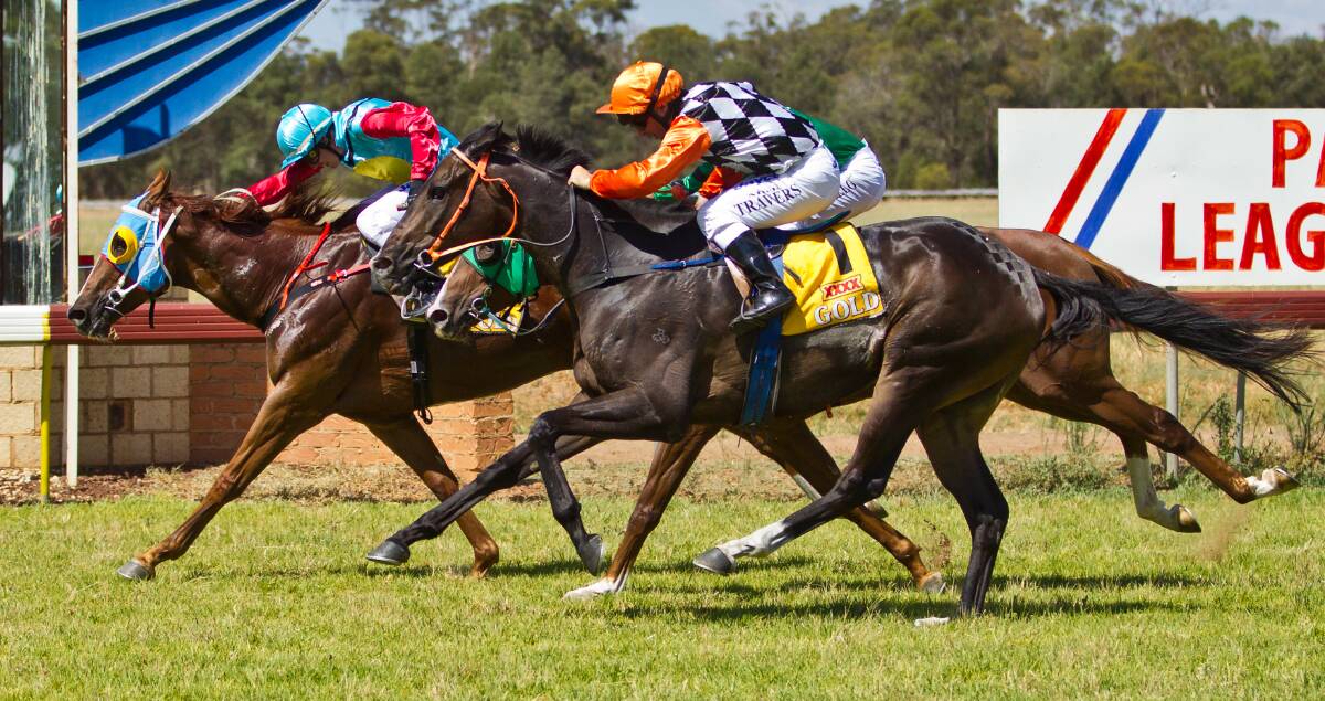 Old Mate Shov holds off his rivals to win the BFY-Trent Morgan Memorial (1400m) at Parkes on Saturday. 																   Photo: JANIAN McMILLAN (www.racingphotography.com.au)