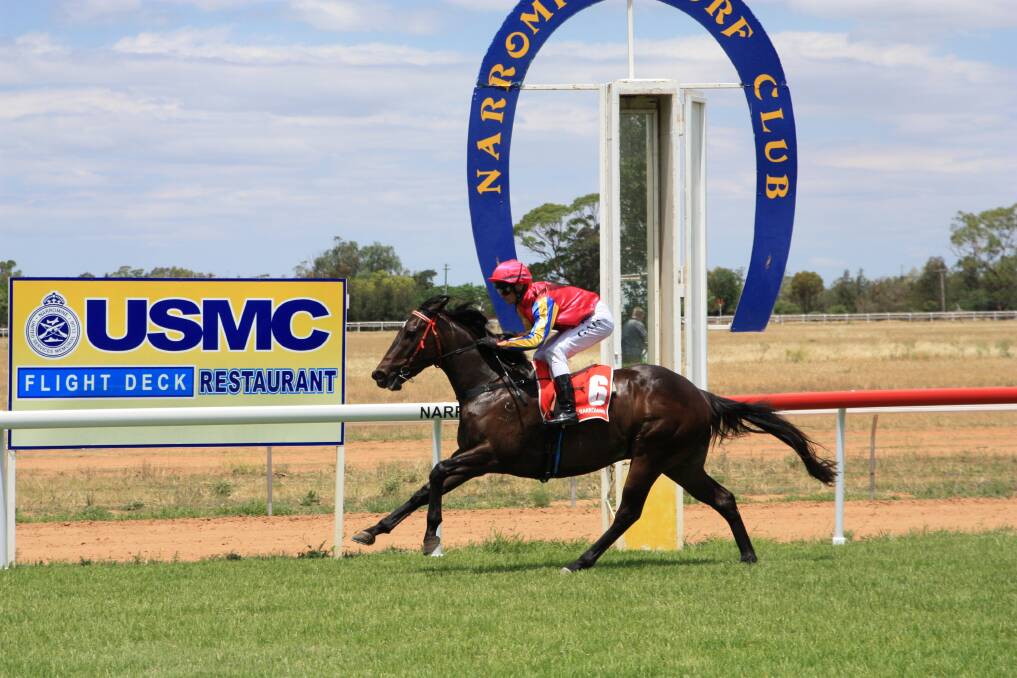 Zarhron cruises to victory in the Orana Mutual Maiden Plate (800m) at Narromine yesterday. 							   Photo: AMY McINTYRE