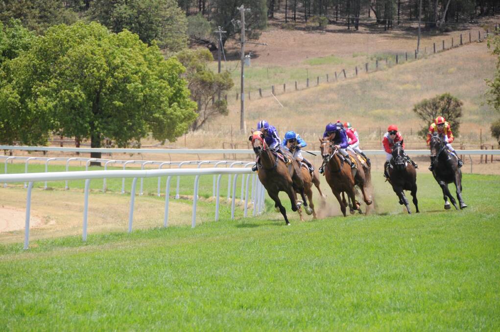 Catherine Markwort makes her move aboard Pentomic (red sleeves and cap) as the field rounds the home turn in the Peter Milling Yearling Sales Maiden Plate (1700m) at Wellington yesterday. 	Photo: BEN WALKER