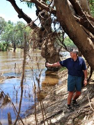 Narromine’s Bob Meadley has criticised the removal of willow trees.