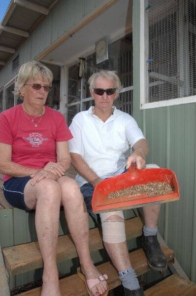 Raelene and Norm Trass with some of the poisoned grain that was scattered in their averies. The RSPCA says big fines and jail time face those responsible.