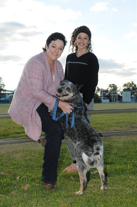 Melanie Hancock and her daughter Liz with their blue cattle dog, Scrappy. Mrs Hancock drove to Port Macquarie to adopt Scrappy from a dog rescue group. the four-year-old dog is now a much-loved member of the family.					   Photo: AMY MCINTYRE