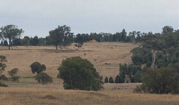 The site of the Dubbo Zirconia Project at Toongi. Photo contributed.