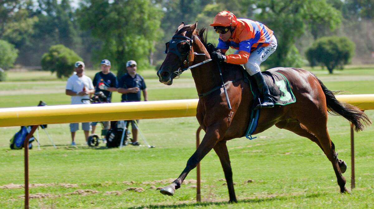 Greg Ryan and General's Sniper take out the 2011 Gilgandra Cup. The 2013 edition of the race will be run on Sunday. Photo: JANIAN McMILLAN (www.racing.photography.com.au)
