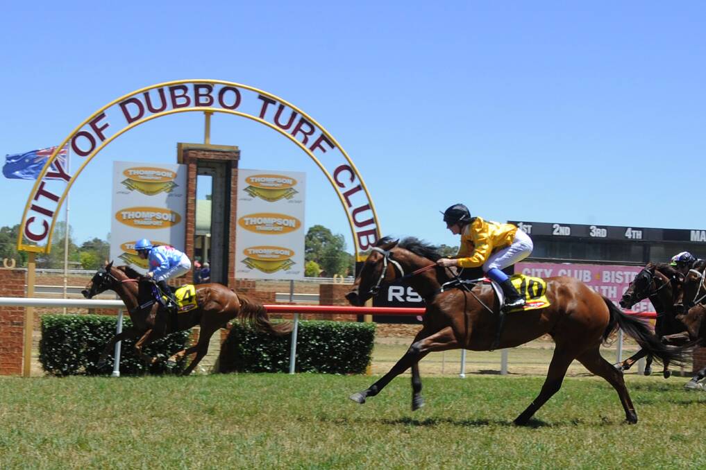 Pelorus (inside) holds off the fast finish of Hammoon Lady to win the Rod Firth Maiden Plate (1100m) on Monday. Photo: BELINDA SOOLE