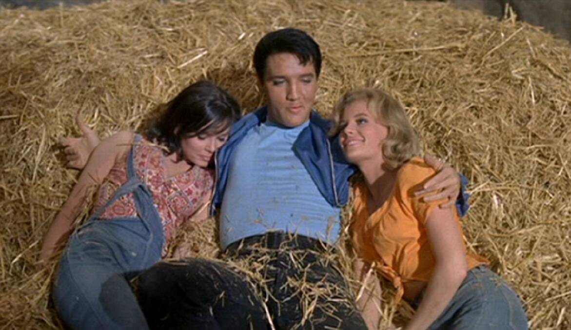 Elvis with co-stars Yvonne Craig and Cynthia Pepper in Kissin’ Cousins, which will screen in Forbes this weekend, along with Blue Hawaii. kissincousins.jpg