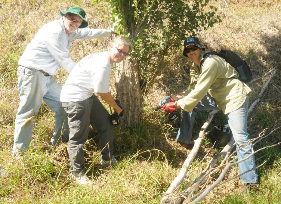 Dubbo Macquarie River Bushcare Group volunteers Phil Priest, Annette Priest and Rod Price. Photo: KATHRYN O'SULLIVAN