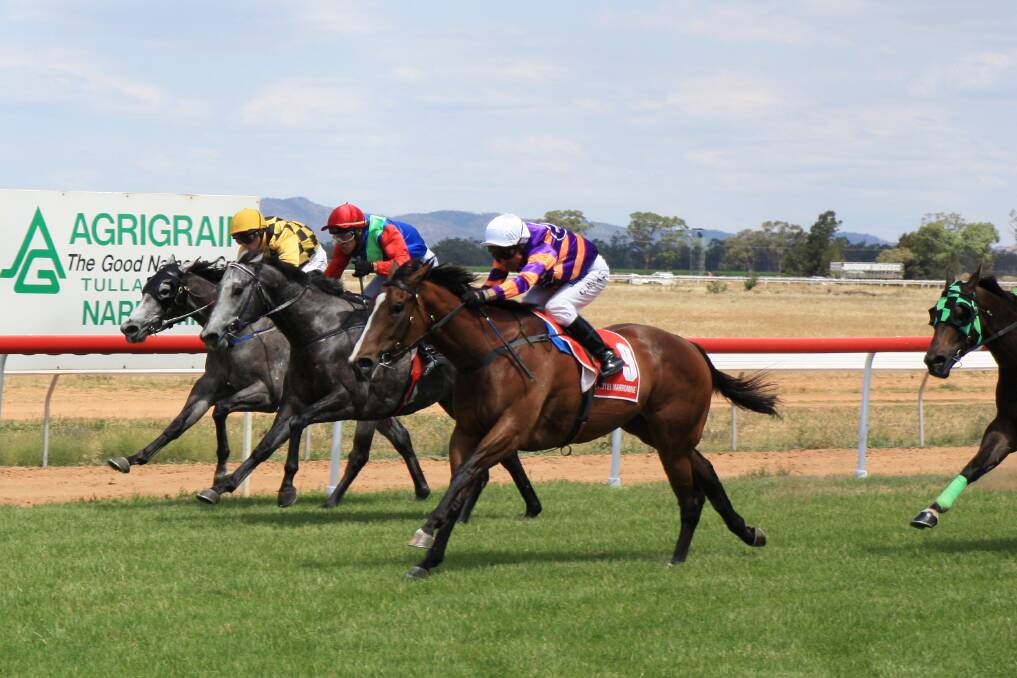 Stop the Flow (outside) won at Narromine
