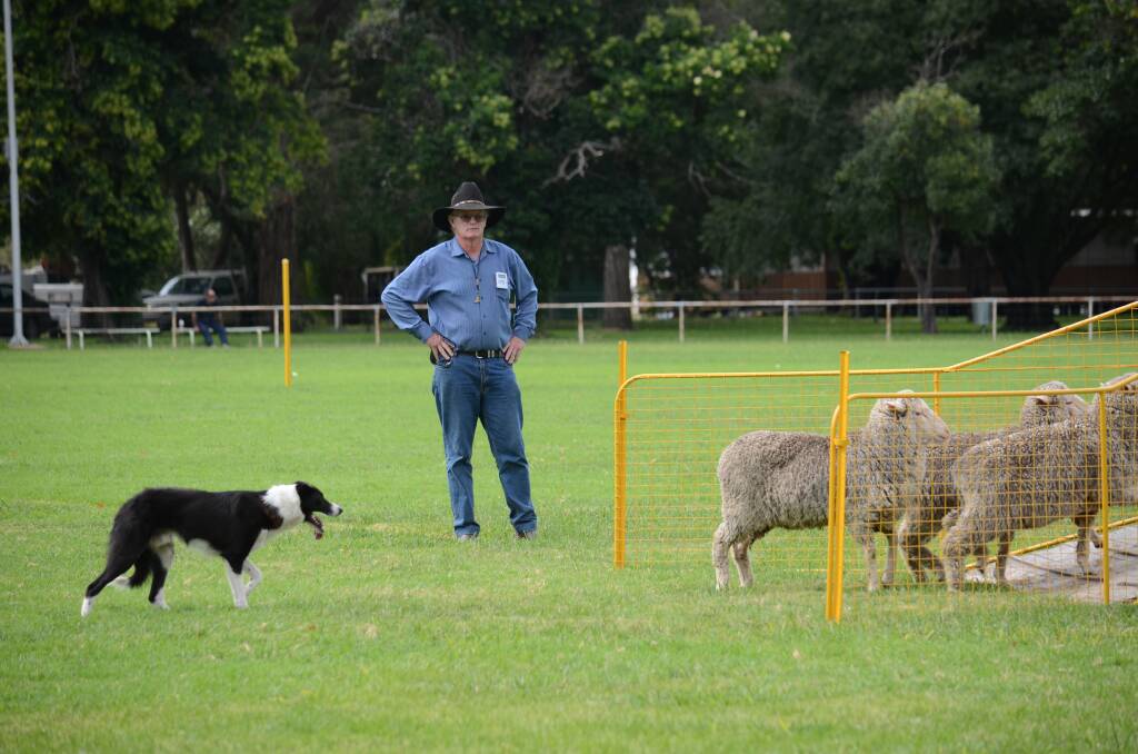 Eumungerie is the place to be for the village's first sheep dog trials in August.