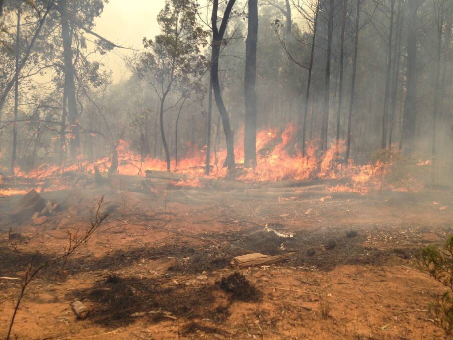 The Wambelong fire still rages, moving ever closer to Coonabarabran. Photo: FIRE AND RESCUE NSW