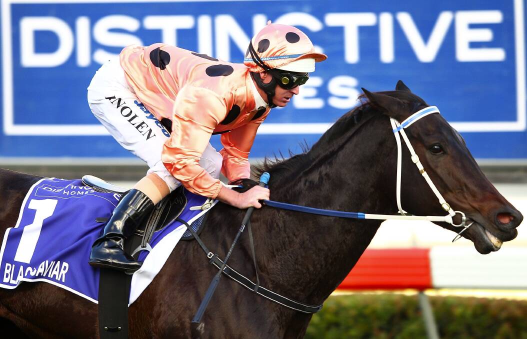 World champion sprinter Black Caviar will return to the racetrack at Caulfield today - but only for an exhibition gallop.