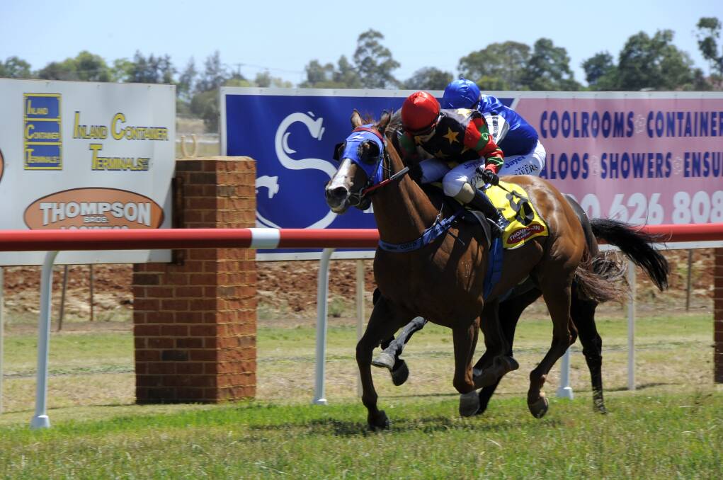 Winona Costin gets everything she can out of Jetking at Dubbo yesterday. Photo: BELINDA SOOLE